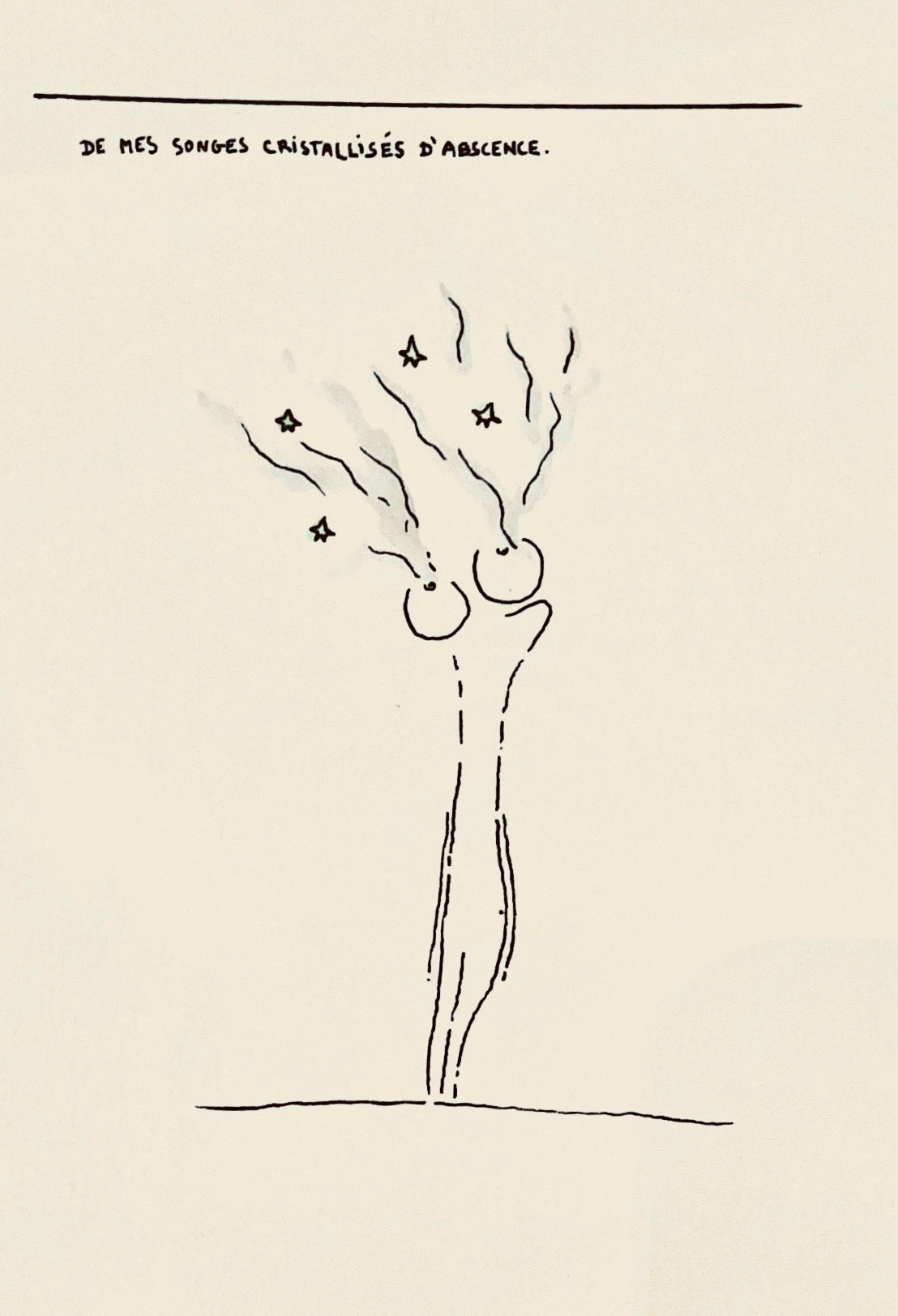 De mes songes cristallisés d’absence.