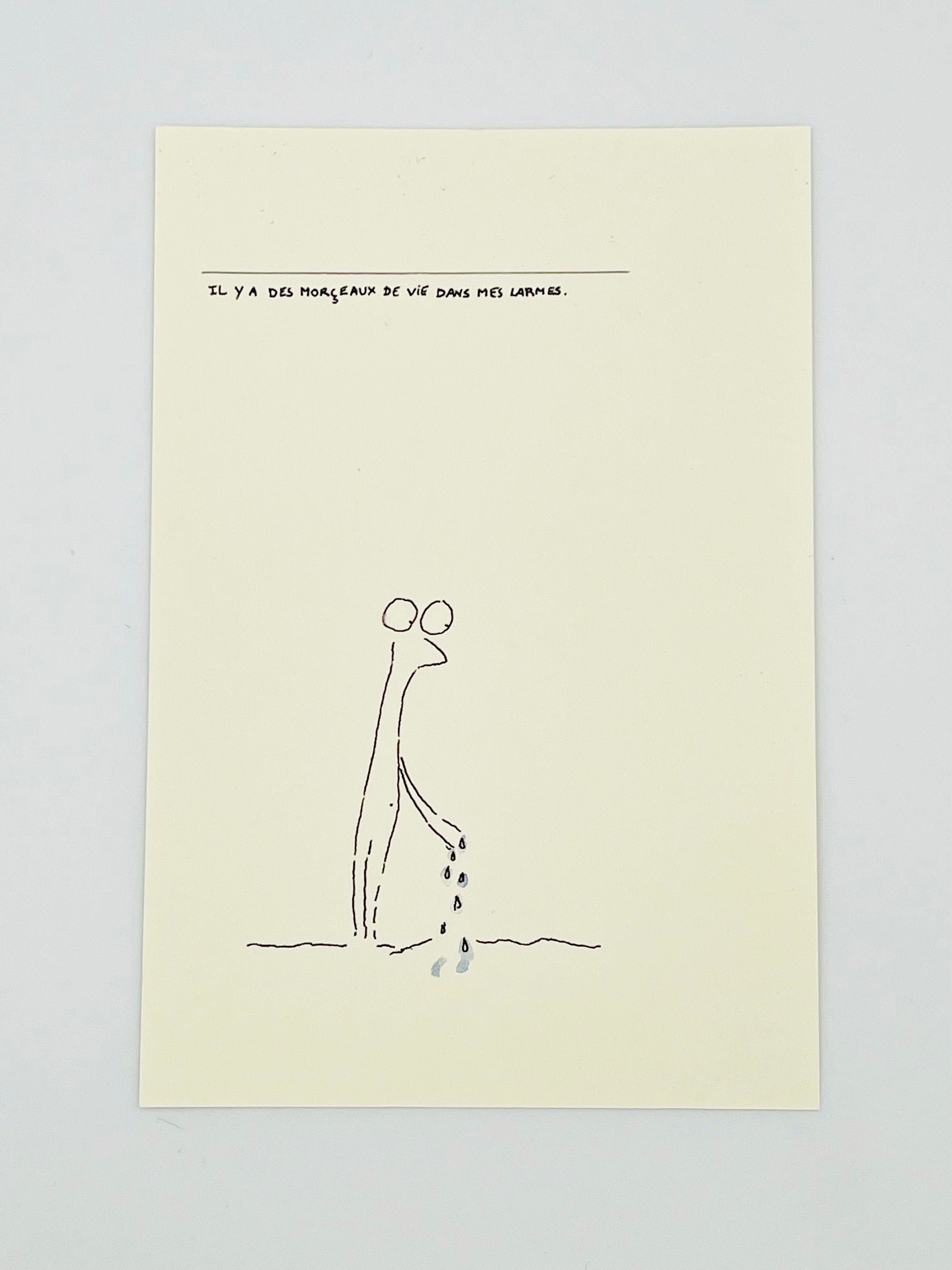 Il y a des morceaux de vie dans mes larmes