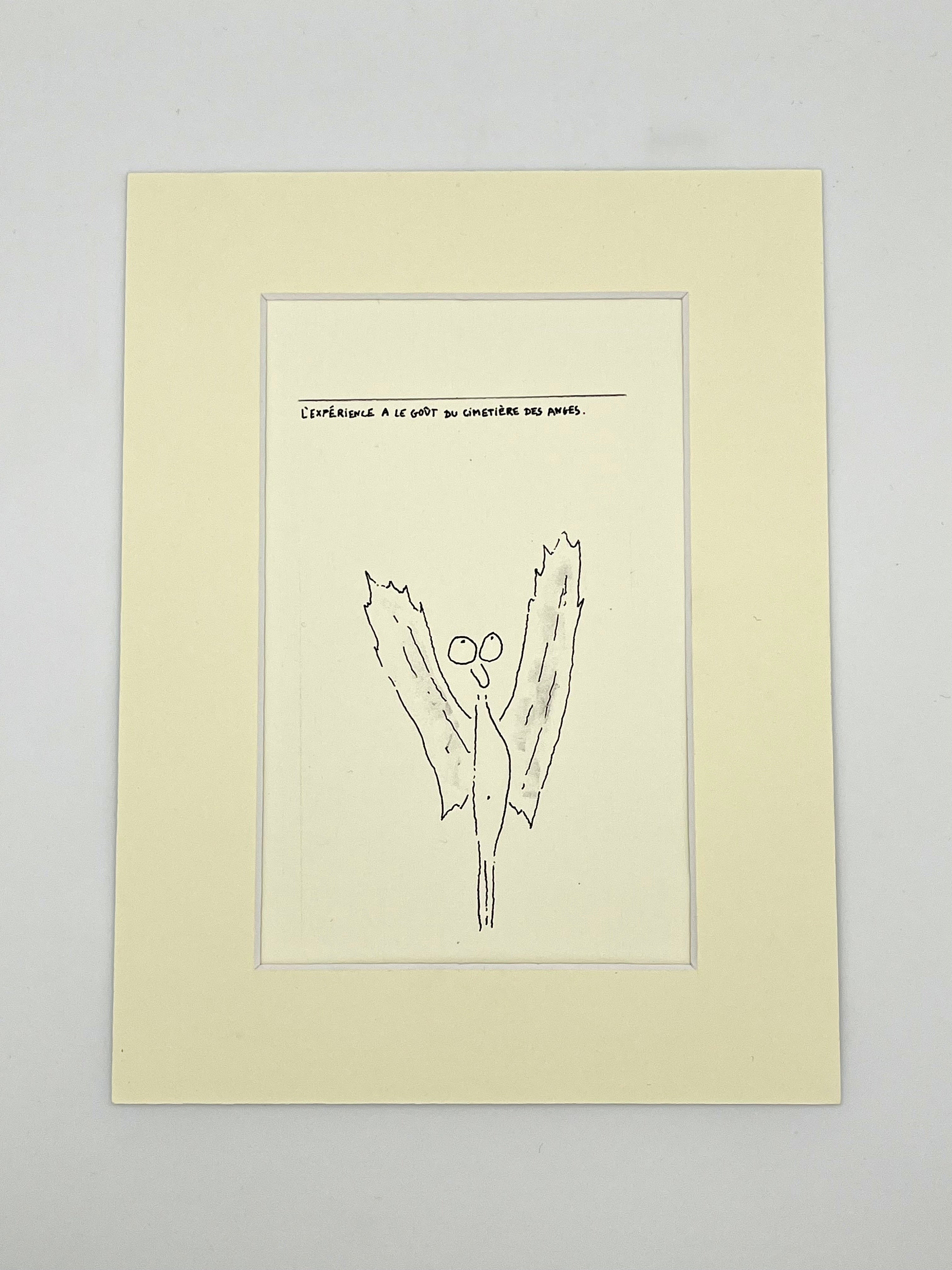 L’expérience a le goût du cimetière des anges